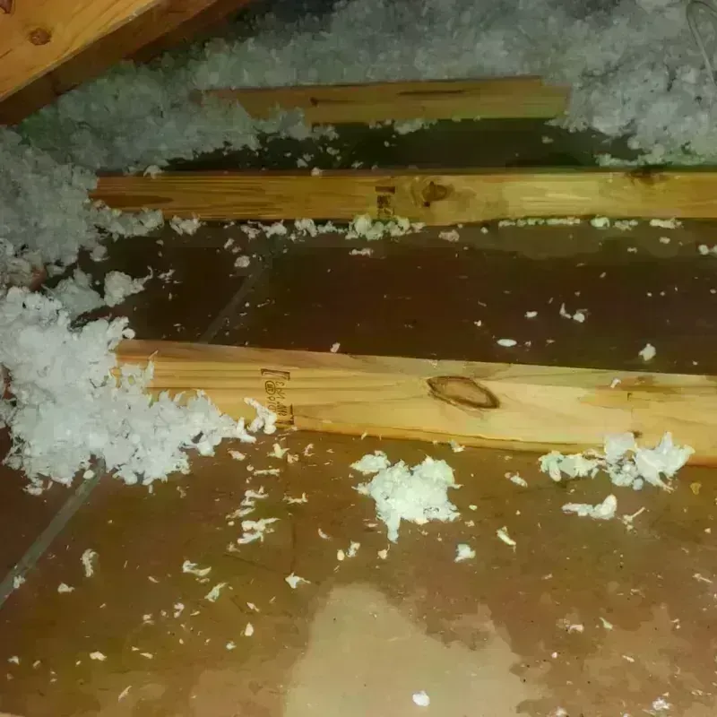 Attic Water Damage in Weeping Water, NE